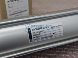 Koganei DDA63x250