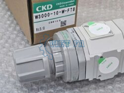 CKD W3000-10-W-FT8